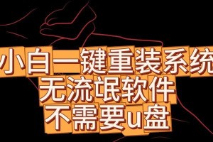 小白u装系统教程（详解小白u装系统教程，让你不再害怕电脑系统安装）