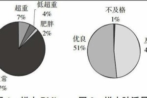 如何分析自己的体质（掌握关键指标，了解身体状况）