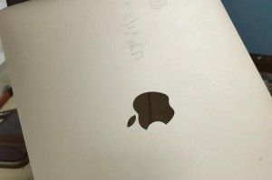 电脑错误（探索电脑错误中问号的含义及解决办法）