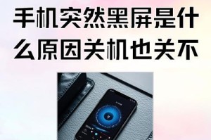 解决开机黑屏故障的有效方法（故障排除与修复技巧，让你的电脑重新焕发活力）