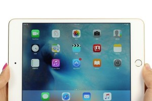 探索iPadmini4的摄影之路（用iPadmini4记录生活的精彩瞬间）