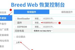 电脑蓝屏怎么办？——U盘刷机教程（解决电脑蓝屏问题的简易指南）