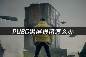 电脑绝地求生更新错误解决方案（如何应对电脑绝地求生更新错误，避免游戏中断）