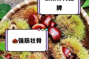 如何保存板栗一年？（掌握正确方法，让板栗保鲜长久）