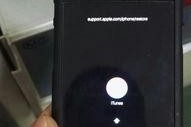 为什么苹果手机屏幕一闪一闪的
