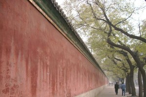 800万像素（探索高像素相机的魅力与应用）