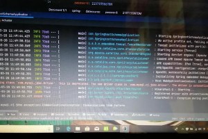 探究电脑boot系统错误及解决方法（解析电脑启动错误的原因与处理办法）