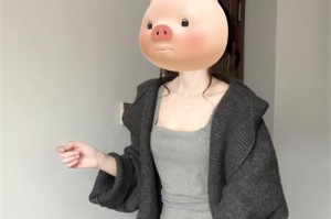 L460性能介绍及使用体验（L460）